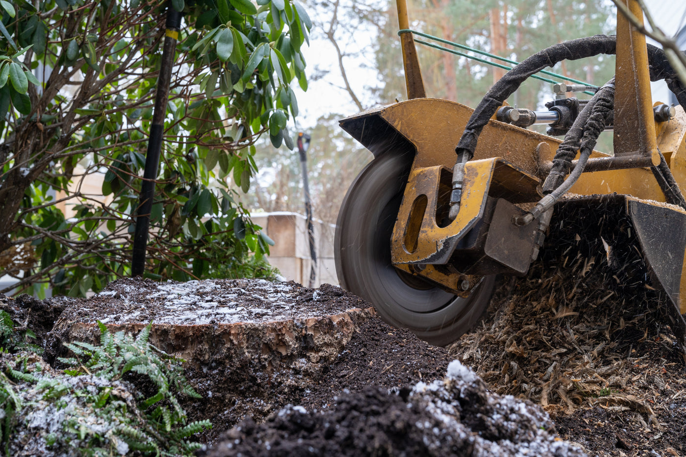 How Stump Tooth Choice Affects Speed, Fuel Use and Machine Wear