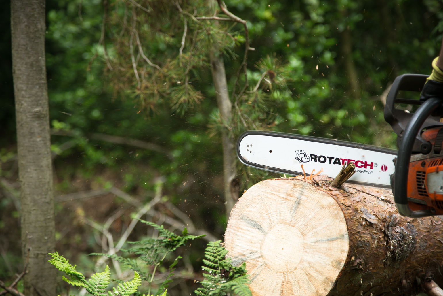 Chainsaw Parts
