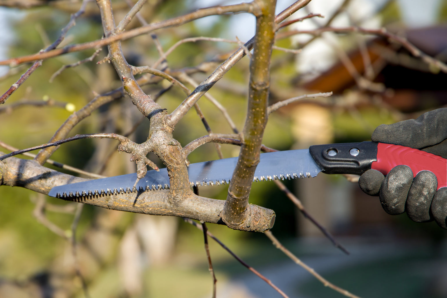 pruning saw